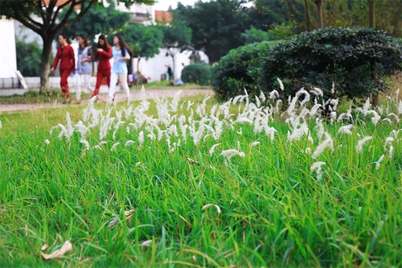 重庆海联职业技术学院