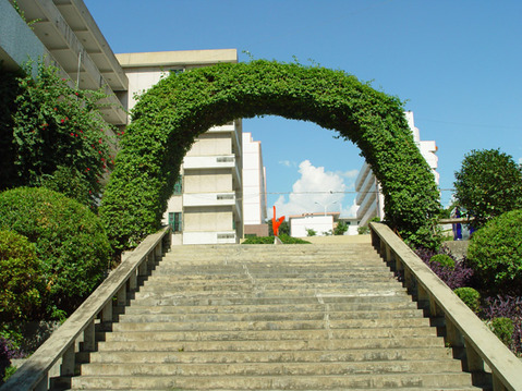 龙岩学院