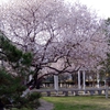 山西工程科技职业大学校园照片_102814