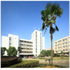 杭州师范大学钱江学院校园照片_95828