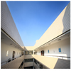 杭州师范大学钱江学院校园照片_95826