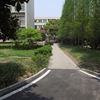 马鞍山学院校园照片_104943