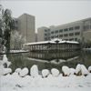 长安大学校园照片_42661