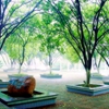 赣南师范大学科技学院校园照片_106276