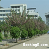 湖北师范大学文理学院校园照片_94984