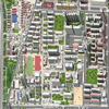 北京林业大学校园照片_1912