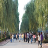 首都师范大学校园照片_2182