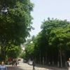 首都经济贸易大学校园照片_2917