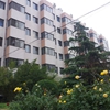 外交学院校园照片_2971