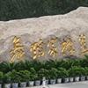 北京舞蹈学院校园照片_3585