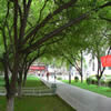 中国社会科学院大学校园照片_60630