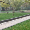 天津中医药大学校园照片_4525