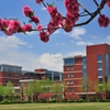 河北大学校园照片_5097