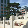中央财经大学校园照片_2637