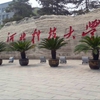 河北科技大学校园照片_5494