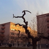 河北科技大学校园照片_5492