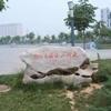河北农业大学校园照片_5663