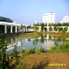 保定学院校园照片_5943