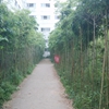 江西软件职业技术大学校园照片_122008