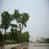 威海职业学院校园照片_69157