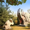 山东现代学院校园照片_97061