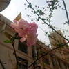 郑州旅游职业学院校园照片_125692