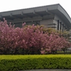 郑州旅游职业学院校园照片_125689