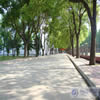江汉艺术职业学院校园照片_126915