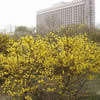山西财经大学校园照片_7595
