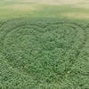 四川商务职业学院校园照片_132973