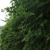 中国石油大学（北京）校园照片_56923
