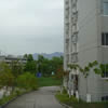 四川幼儿师范高等专科学校校园照片_133672