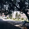 沈阳药科大学校园照片_9841
