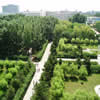 长春理工大学校园照片_10918