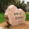 清华大学校园照片_243