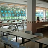 上海理工大学校园照片_14731