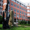 上海海事大学校园照片_14786