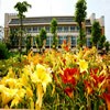 上海应用技术大学校园照片_15175