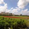 上海中医药大学校园照片_15504