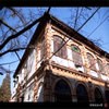 华东政法大学校园照片_16411