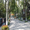 华东政法大学校园照片_16418