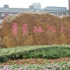 华东政法大学校园照片_16594