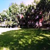 上海政法学院校园照片_64451