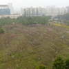 上海商学院校园照片_66760