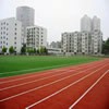 南京财经大学校园照片_19797