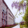 南京财经大学校园照片_19801