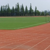 南京财经大学校园照片_19870