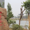 徐州工程学院校园照片_51491