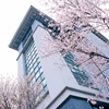 南京晓庄学院校园照片_57990