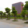 浙江理工大学校园照片_20667